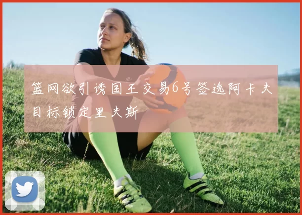 篮网欲引诱国王交易6号签选阿卡夫目标锁定里夫斯