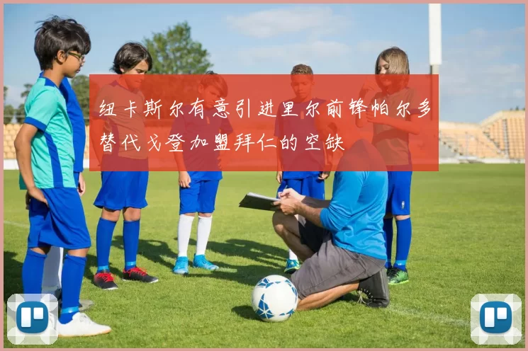 纽卡斯尔有意引进里尔前锋帕尔多替代戈登加盟拜仁的空缺