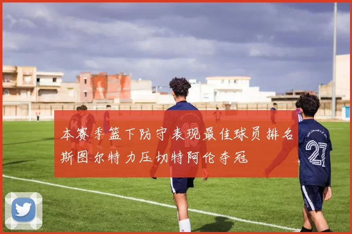 本赛季篮下防守表现最佳球员排名斯图尔特力压切特阿伦夺冠